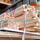 Cây gỗ thông - Cây gia cố