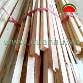 Cây gỗ thông - Cây gia cố