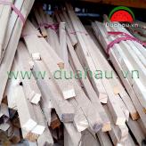 Cây gỗ thông - Cây gia cố