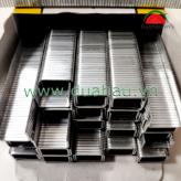 Đinh U1006J Việt Đức